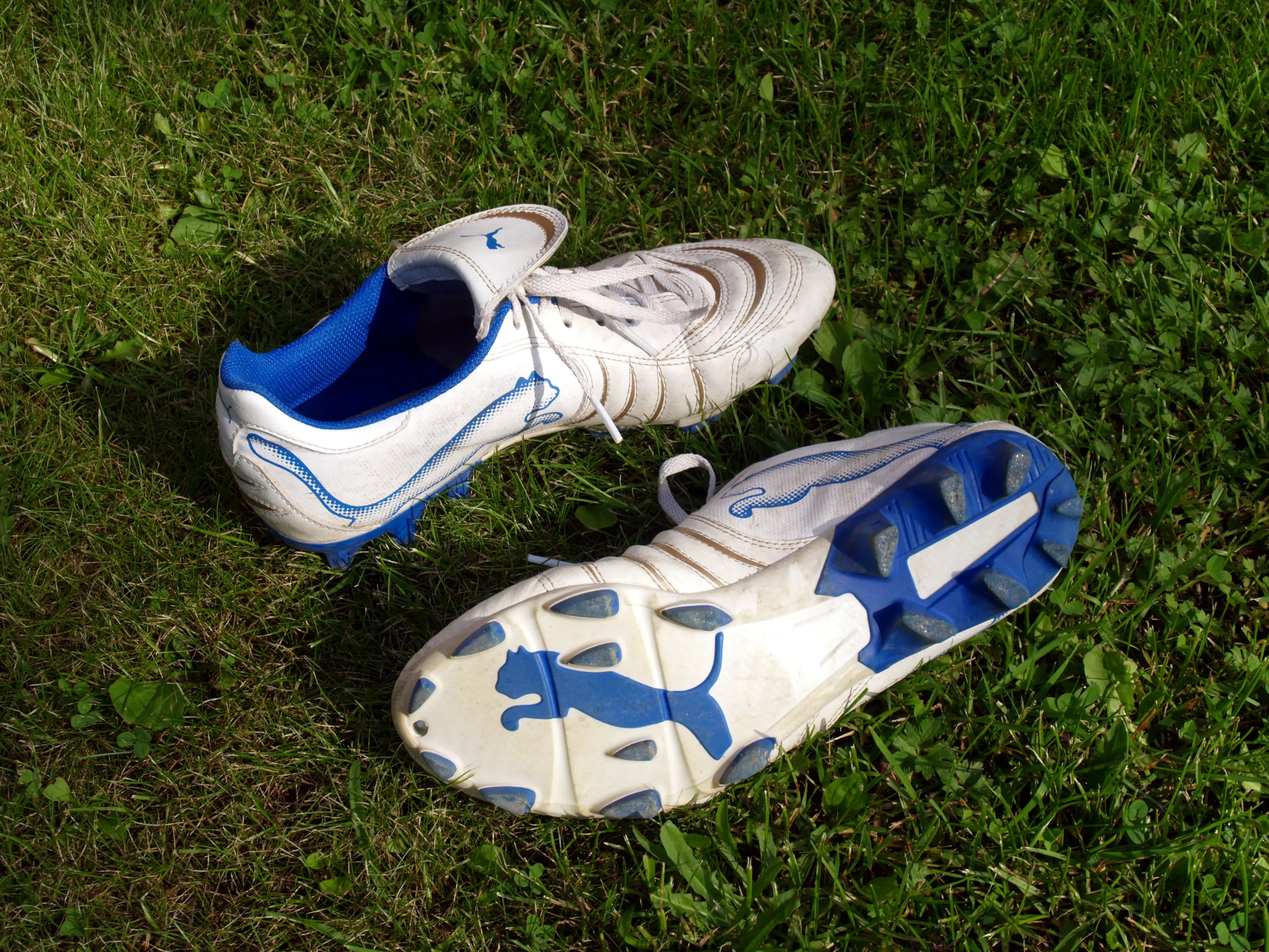 PUMA ASSOCIATION